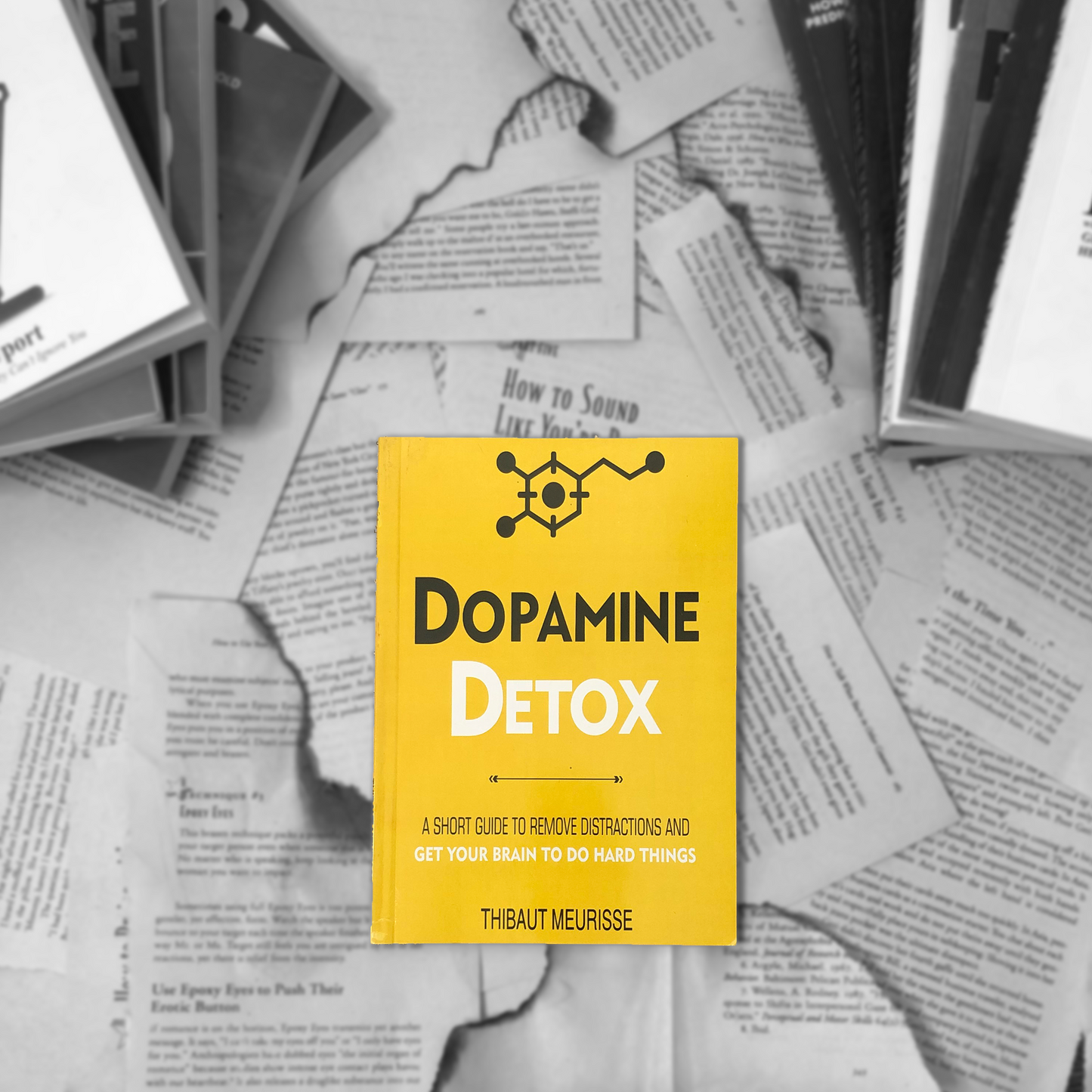 Dopamine Detox By Thibaut Meurisse