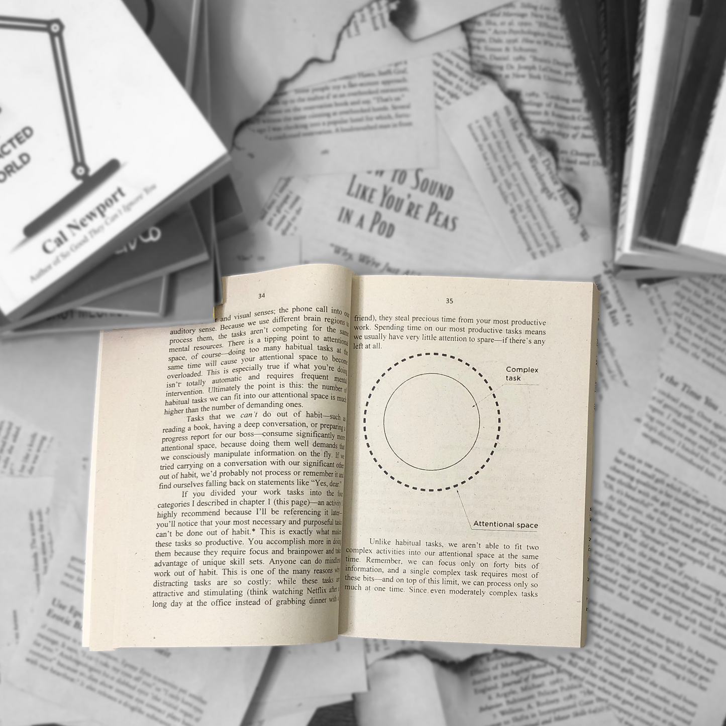 Hyperfocus By Chris Bailey