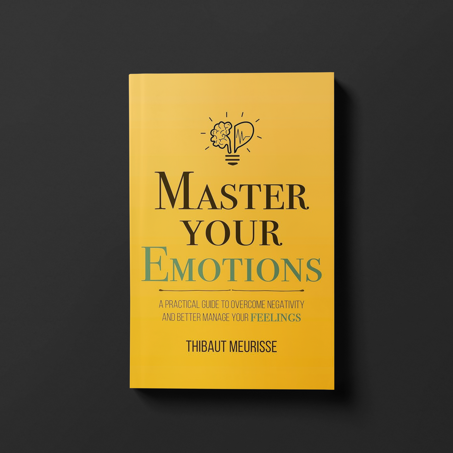 Master Your Emotions By Thibaut Meurisse