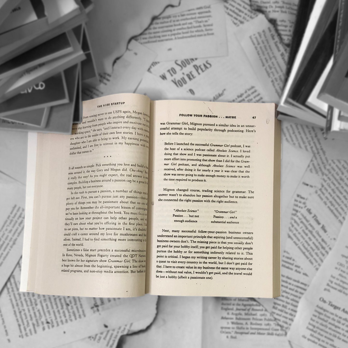 The $100 Startup By Chris Guillebeau
