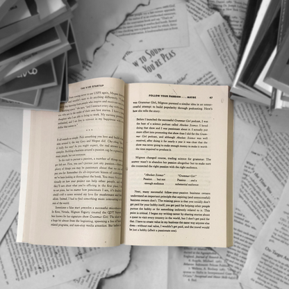 The $100 Startup By Chris Guillebeau