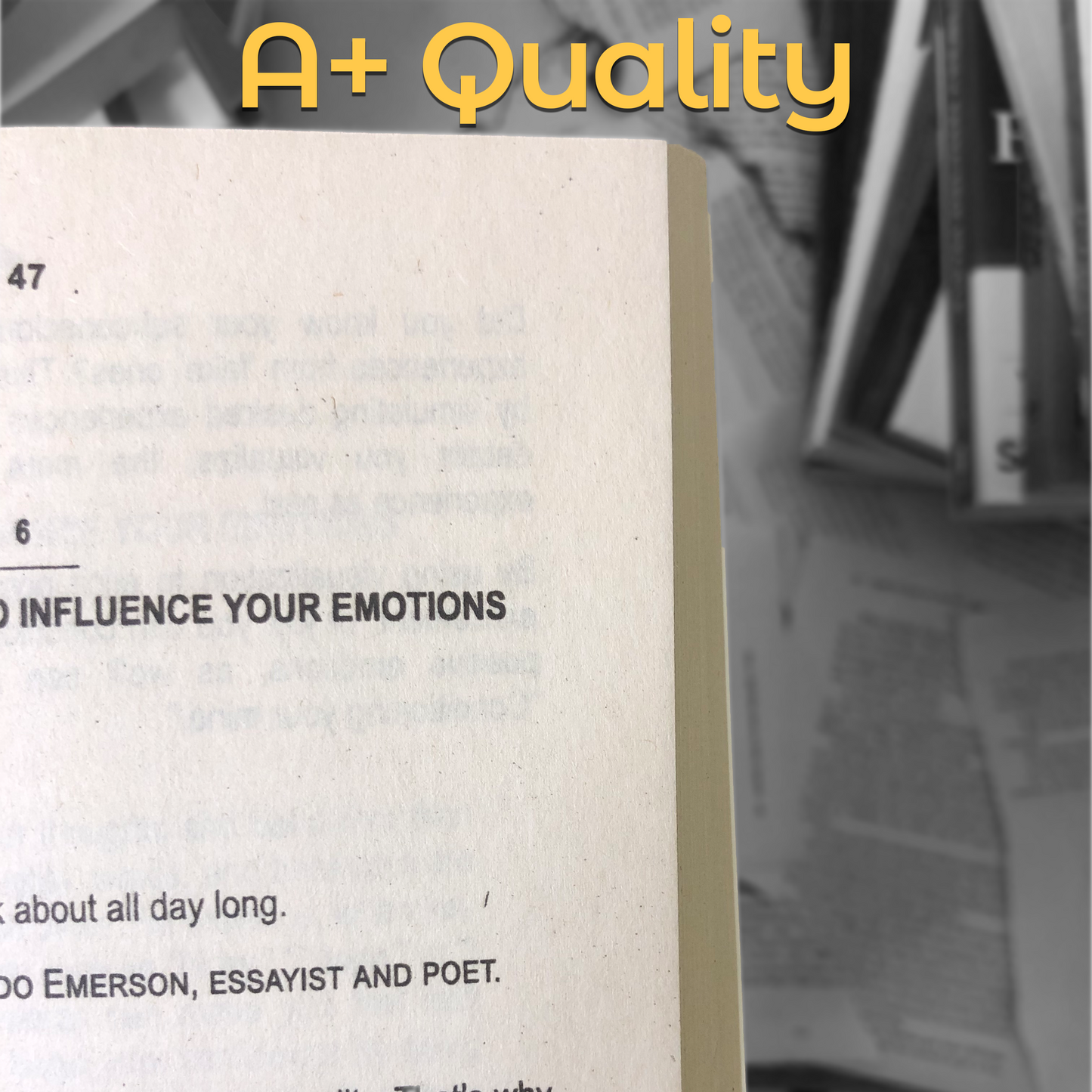 Master Your Emotions By Thibaut Meurisse